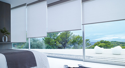 costum roller shades