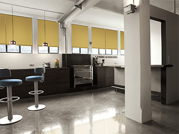 white roller shades